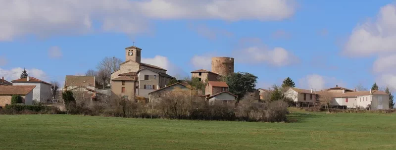 48 207 17878832 800x520